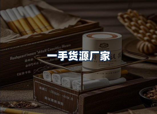 专业团队办公环境